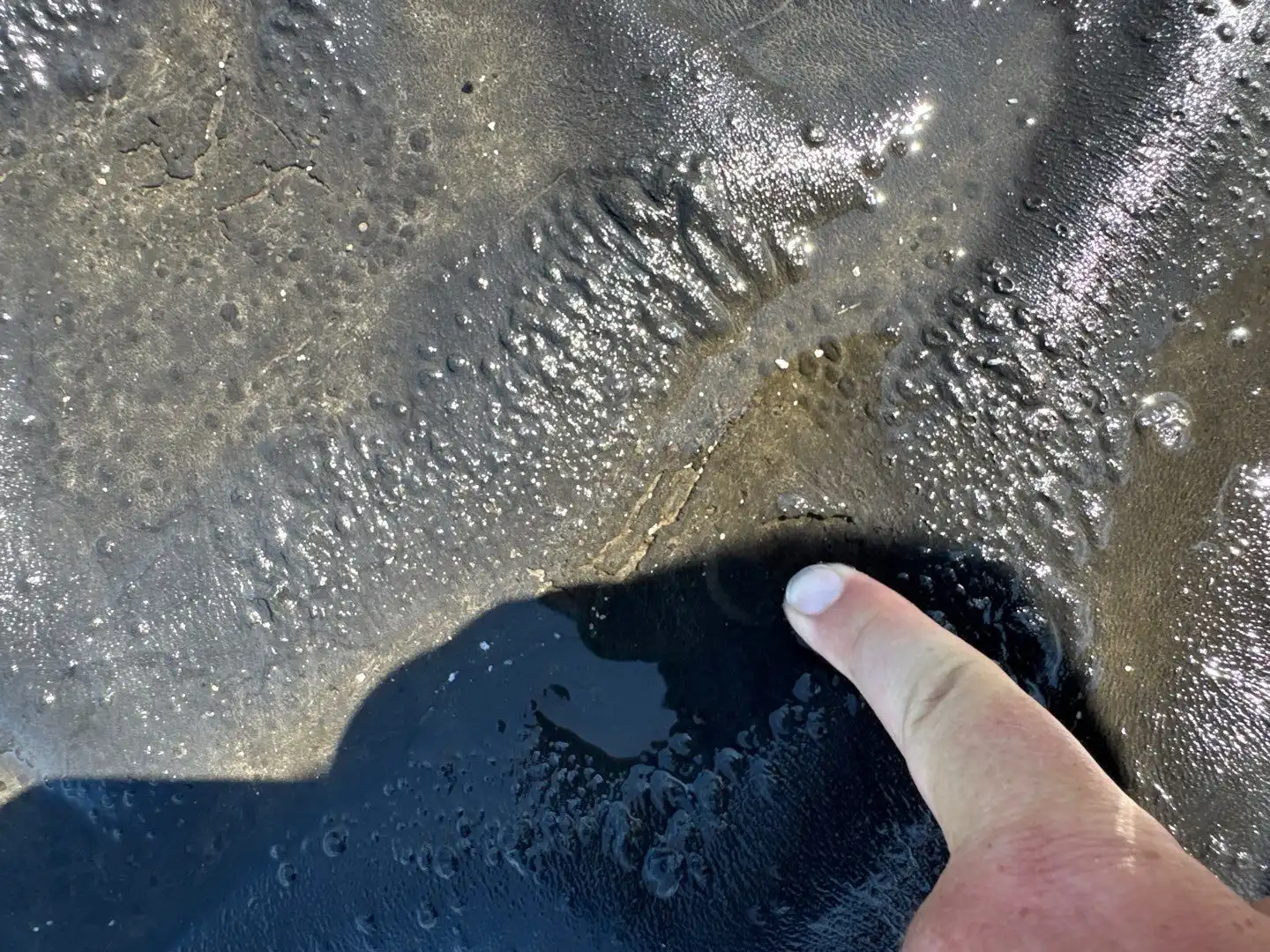 Flat Roof Repair Nora: Leak Detection and Fix